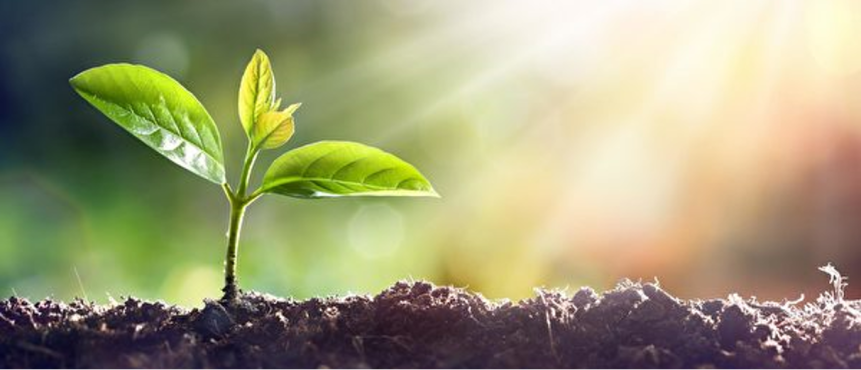 2025年12月21日主日证道：住在光中