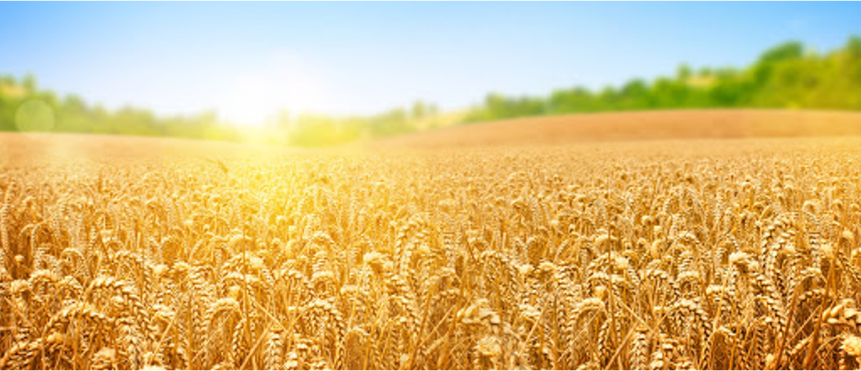 2024年07月21日主日证道：赐丰盛的新恩典