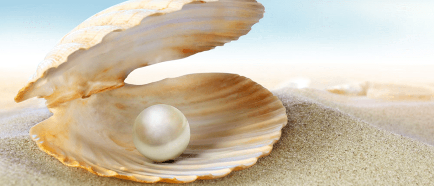 2023年09月24日主日证道：隐藏的珍宝