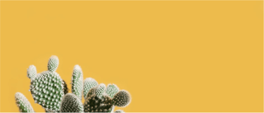 2021年03月07日主日证道：何为论断？