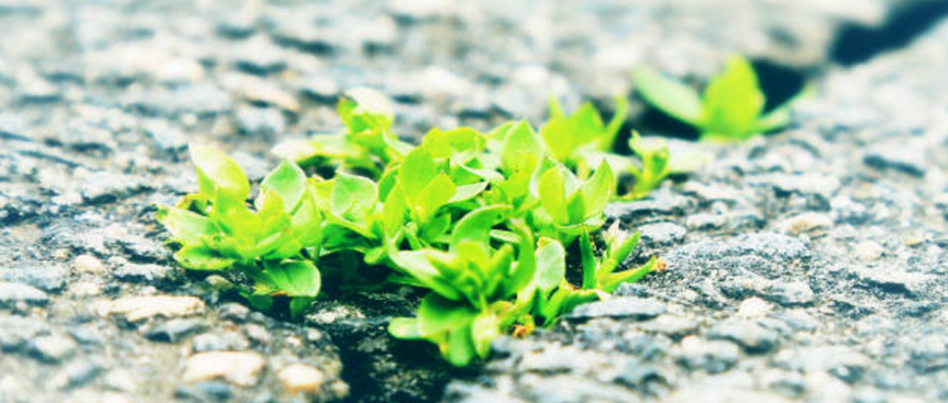 2021年11月14日主日证道：忍耐与复临