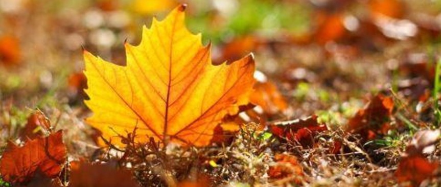 2024年05月12日主日证道：耶和华的节期 — 秋季