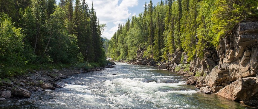 2024年09月08日主日证道：过河