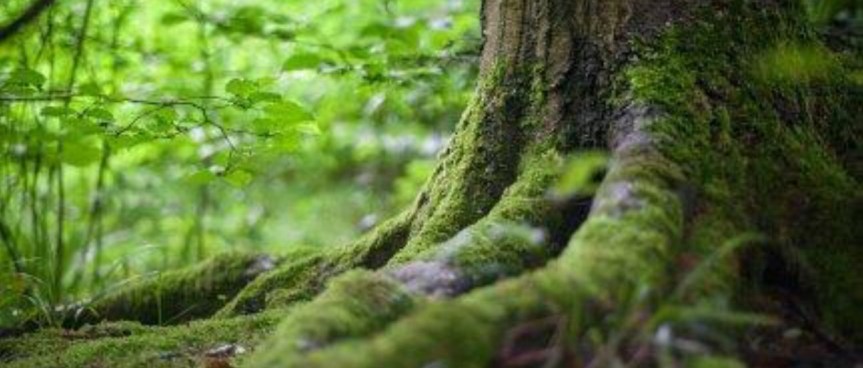 2025年11月23日主日证道：Verwurzelt — 2：Wenn etwas&nbsp;bricht